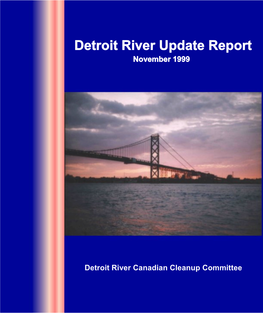 Detroit River Update Report November 1999