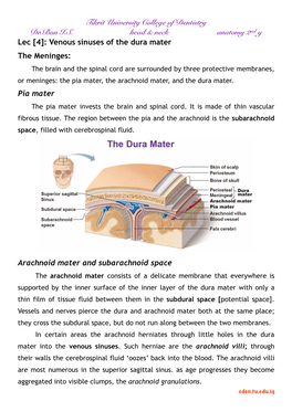 Tikrit University College of Dentistry Dr.Ban IS Head & Neck Anatomy 2Nd Y