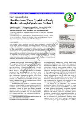 Online First Article Identification of Three Cyprinidae Family Members Through Cytochrome Oxidase I