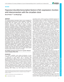 Hypoxia-Inducible Transcription Factors in Fish: Expression, Function and Interconnection with the Circadian Clock Bernd Pelster1,2,* and Margit Egg1