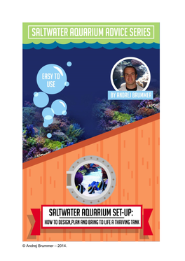 Ultimate Secrets to Saltwater Aquarium Fish and Invertebrates