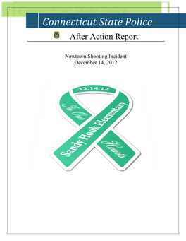 Connecticut State Police After Action Report
