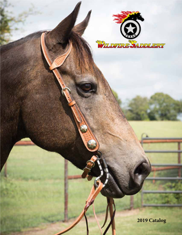 2019 Catalog the History of Wildfire Saddlery Dale Martin, the Founder of the *DALE MARTIN SADDLERY® Brand Is Proud to Become a Part of the Partrade Team