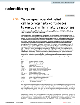 Tissue-Specific Endothelial Cell Heterogeneity Contributes To