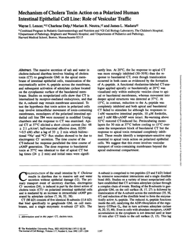 Mechanism of Cholera Toxin Action on a Polarized Human Intestinal Epithelial Cell Line: Role of Vesicular Traffic Wayne I