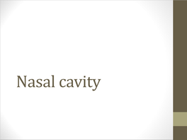 Nasal Cavity Nose