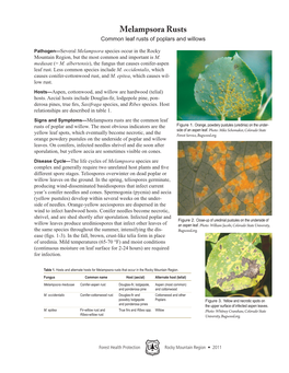 Melampsora Rusts Common Leaf Rusts of Poplars and Willows