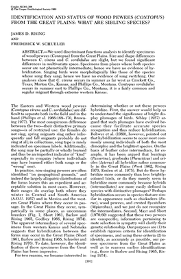 Identification and Status of Wood Pewees (Contopus) from the Great Plains: What Are Sibling Species?