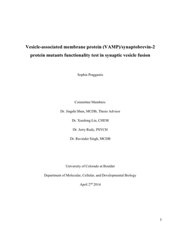 (VAMP)/Synaptobrevin-2 Protein Mutants Functionality Test in Synaptic Vesicle Fusion