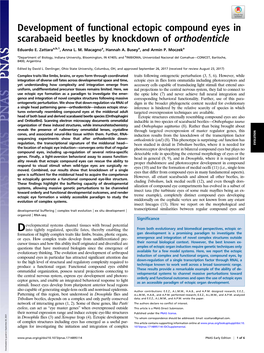 Development of Functional Ectopic Compound Eyes in Scarabaeid Beetles by Knockdown of Orthodenticle