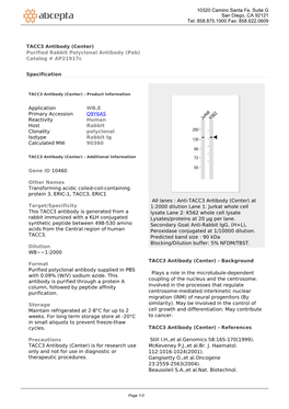TACC3 Antibody (Center) Purified Rabbit Polyclonal Antibody (Pab) Catalog # Ap21917c