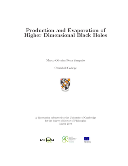 Production and Evaporation of Higher Dimensional Black Holes