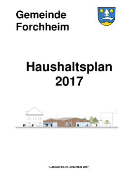 Haushaltsplan 2017