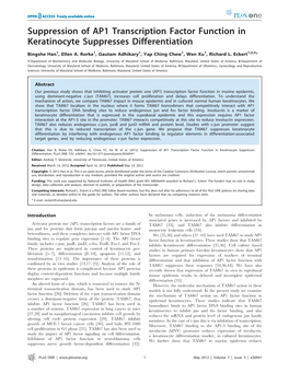 Suppression of AP1 Transcription Factor Function in Keratinocyte Suppresses Differentiation