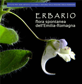 Erbario : Flora Spontanea Dell'emilia-Romagna