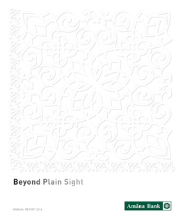 Beyond Plain Sight