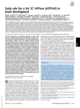 Early Role for a Na+,K+-Atpase (ATP1A3) in Brain Development