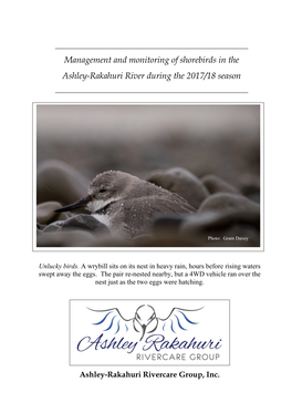 Report on Monitoring of Shorebirds In