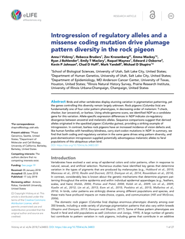 Introgression of Regulatory Alleles and a Missense Coding Mutation Drive Plumage Pattern Diversity in the Rock Pigeon