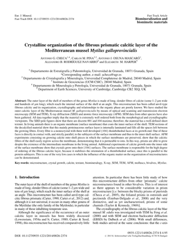 Crystalline Organization of the Fibrous Prismatic Calcitic Layer of the Mediterranean Mussel Mytilus Galloprovincialis