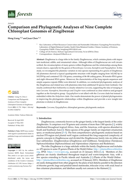 Comparison and Phylogenetic Analyses of Nine Complete Chloroplast Genomes of Zingibereae