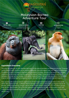 Priced Malaysian Borneo Adventure Tour
