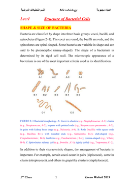 Lec:1 Structure of Bacterial Cells