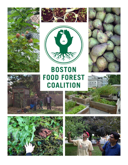 Boston Food Forest Coalition