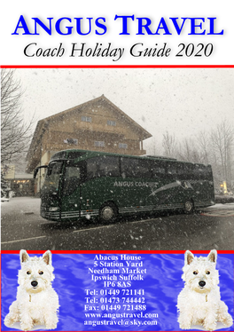 2020 Holiday Guide