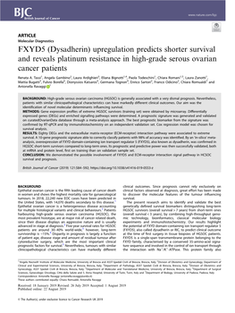 FXYD5 (Dysadherin) Upregulation Predicts Shorter Survival and Reveals Platinum Resistance in High-Grade Serous Ovarian Cancer Patients