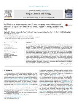 Fungal Genetics and Biology 70 (2014) 104–112