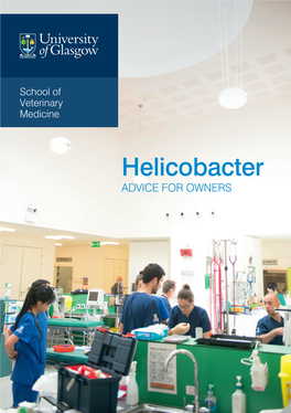 Helicobacter ADVICE for OWNERS Helicobacter