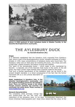 THE AYLESBURY DUCK By: Kenneth Broekman (NL)