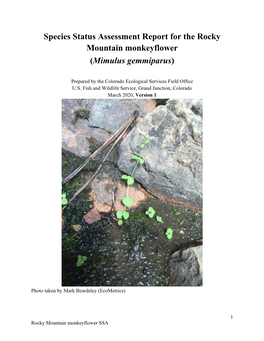 Species Status Assessment Report for the Rocky Mountain Monkeyflower (Mimulus Gemmiparus)