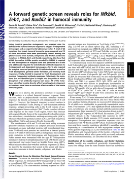 A Forward Genetic Screen Reveals Roles for Nfkbid, Zeb1, and Ruvbl2 In