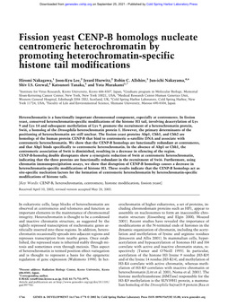 Fission Yeast CENP-B Homologs Nucleate Centromeric Heterochromatin by Promoting Heterochromatin-Specific Histone Tail Modifications