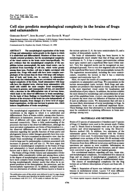 Cell Size Predicts Morphological Complexity in the Brains of Frogs and Salamanders GERHARD ROTH*T, JENS BLANKE*, and DAVID B