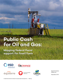 Public Cash for Oil and Gas: Mapping Federal Fiscal Support for Fossil Fuels