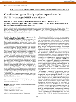 Circadian Clock Genes Directly Regulate Expression of the Na+/H+