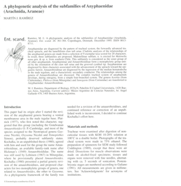 A Phylogenetic Analysis of the Subfamilies of Anyphaenidae (Arachnida, Araneae) MARTIN J
