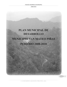 Plan Municipal De Desarrollo Municipio San Mateo Piñas Periodo 2008-2010