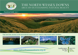 The North Wessex Downs Area of Outstanding Natural Beauty