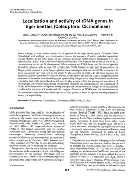 Localization and Activity of Rdna Genes in Tiger Beetles (Coleoptera: Cicindelinae)