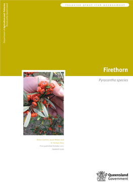 Firethorn Risk Assessment