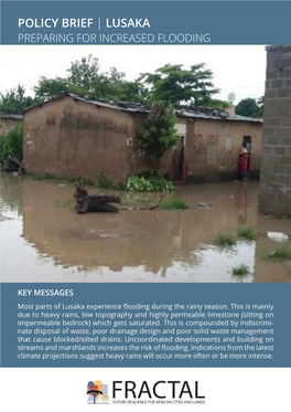 Policy Brief | Lusaka Preparing for Increased Flooding
