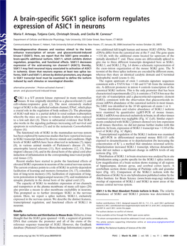 A Brain-Specific SGK1 Splice Isoform Regulates Expression of ASIC1 in Neurons