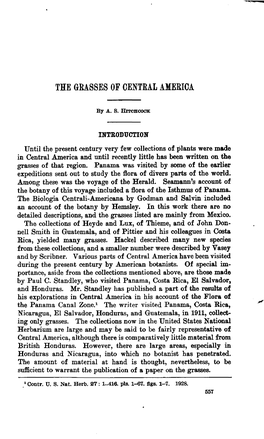 TIE GRASSES of CENTRAL AMERICA by A. S. Hitchcock