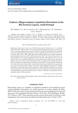 Seahorse (Hippocampinae) Population Fluctuations in the Ria Formosa Lagoon, South Portugal