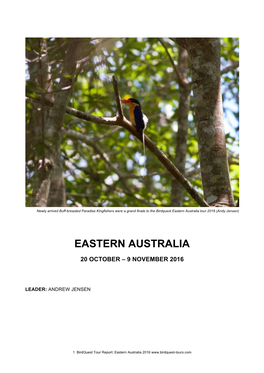 Eastern Australia Tour 2016 (Andy Jensen)