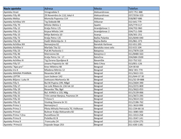 Naziv Apoteke Adresa Mesto Telefon
